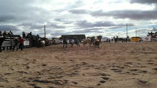 Whoa! Wild Horse Race at Ak Chin Indian Community