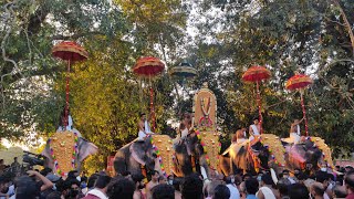 വൈകുണ്ഠ ഏകാദശി  നെല്ലുവായ് ശ്രീ ധന്വന്തരി ക്ഷേത്രം