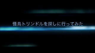 2018年新作自主制作怪獣映画予告 怪鳥トリンドルを探しに行ってみた