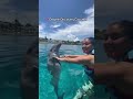 así se ven los delfines en dolphin discovery cozumel 🐬