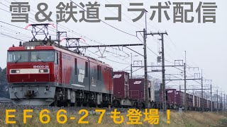 ［雪×鉄道ライブ］貨物列車(EF66-27 登場！)・在来線の電車を見ようin大宮駅 2022.1.6【ORI】