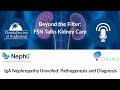 IgA Nephropathy Unveiled: Pathogenesis and Diagnosis