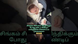 சிங்கம் சிந்திக்கும்போது சீண்டாத #ytviral #jk #baby #trending #cute #ytshorts #cutebaby #funnyvideo