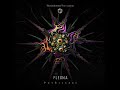 Flegma - PsyBizarre