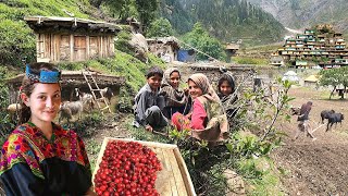Unseen Pakistani Village Life at Top of Coldest Mountain | Ancient Culture | Stu