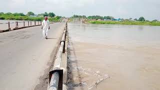 once Again heavy Raining Malkhed Kagina River water level Flowing  part 3