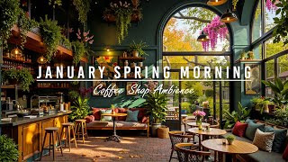 Warm January Spring Morning in Peaceful Coffee Shop☕A Cozy and Relaxing Cafe Playlist for Great Mood