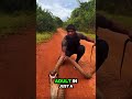 man tries grabbing a king cobra 🤯