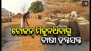 ଟିଟିଲାଗଡ ଚାଷୀଙ୍କୁ ଘାରିଛି ଟୋକନ୍ ଚିନ୍ତା | Titilagarh || Odisha Reporter