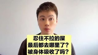 你憋住的大便都去哪里了？经常憋大便有何危害？一次性告诉你！