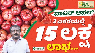 ವಾಟರ್ ಆಪಲ್ ಬೇಸಾಯ... 3 ಎಕರೆಯಲ್ಲಿ 15 ಲಕ್ಷ ಲಾಭ | ಕೃಷಿ ಖಜಾನೆ | Water Apple Cultivation | Vistara Krishi