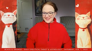 Daily Live Political Tarot Readings - February 1, 2025