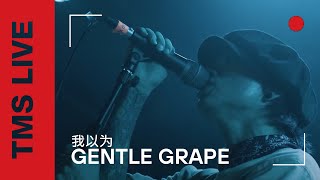 Gentle Grape - 我以为 | TMS Live Shanghai (Concert in China)