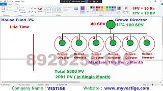 vestige house fund | vestige car fund | vestige crown director income calculation