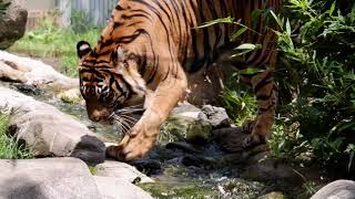 夏の動物園　八木山動物公園フジサキの杜へ行ってきた