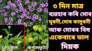 ৩ দিন মাত্ৰ ব্যৱহাৰ কৰি চাওক মোৰ ঘূৰনী,মোৰ কামুৰনী আৰু মোৰৰ বিষ একেবাৰে ভাল হৈ যাব ||