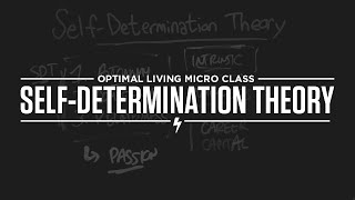 Micro Class: Self-Determination Theory