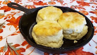 2 Ingredient Biscuits - The Hillbilly Kitchen