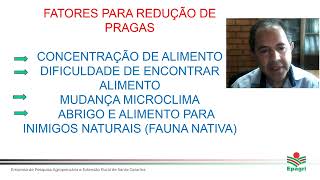 Bases: manejo de pragas e sanidade em hortaliças em produção orgânica