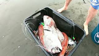 Kontiki fishing in NZ - a look back at a few fun kontiki adventures