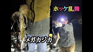 【北海道釣り】道南日本海の大成町で、ホッケ、カジカ釣り！！