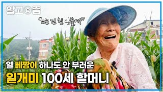 밭일도 집안일도 한글 공부도 척척 해내시는 100세 할머니의 장수 비결┃장수의 비밀┃알고e즘