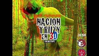 01 - Nacion Triizy en 3D - Entero encashao (Prod x Young Dogo)