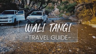 Wali Tangi Best Picnic Point | Quetta | Travel Guide | Hammad Jamot #walitangi #balochistan