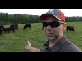 I wasn't prepared! What Nobody Told me about Regenerative Farming Small Acreage