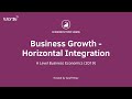 Business Growth: Advantages and Drawbacks of Horizontal Integration I A Level and IB Economics