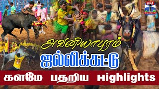 🔴LIVE : அவனியாபுரம் ஜல்லிக்கட்டு - களமே பதறிய Highlights | Avaniyapuram Jallikattu - 2025 | Madurai