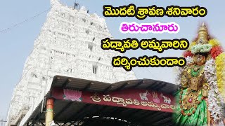 VISHNU CHANNEL I తిరుచానూరు పద్మావతి దేవి దర్శనం I THIRUCHANURU PADMAVATHI DEVI DARSHANAM I