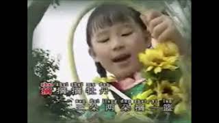 郑仪 【辣妹子专辑】 - 编花篮