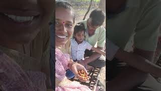 రేగుపండ్లు తింటున్నాం #farmer #agriculture #youtubeshorts #shorts