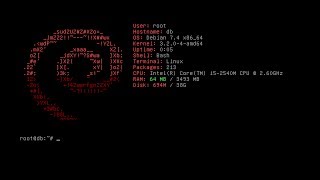 Install Archey / Auto-run After Login (Debian Core)