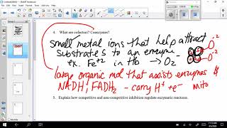 Unit 3 AP Bio BIS Explained