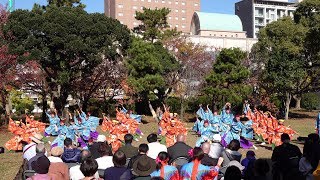 和歌山MOVE @ おどるんや秋まつり (二の丸庭園会場) 2019-11-23T12:12