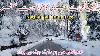 Nathia gali To murree | nathia gali snowfall | murree live today | #murree weather #snowfall #2025