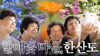 다섯번째 이야기, 할매꽃 피는 마을 한산도 | #섬띵스페셜 EP.05