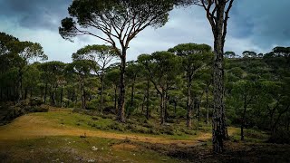 Doğada yürüyüş, 4K - Hiking in nature, 4K