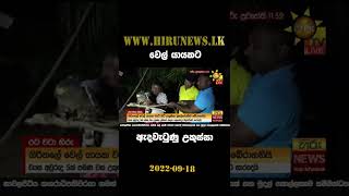 වෙල් යායකට ඇදවැටුණු උකුස්සා - Hiru News