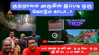 குற்றாலம் அருகில் இப்படி ஒரு கொடும் காடா..?😲 Adventure trip 🐘😲 யானைகளின் நடுவே ஒரு திகில் பயணம்..💨🚘