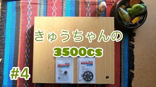 きゅうちゃんの3500cs🚀 【#4】【#5152 #10255 コグホイール】