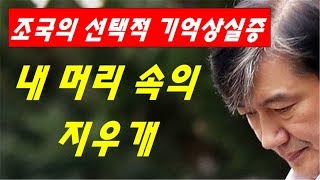 [황태순-TV] 조국의 선택적 기억상실증