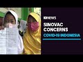 Indonesia races to get kids vaccinated, but worry about the vaccines they're using | ABC News