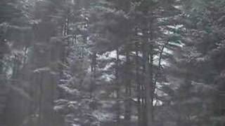 Hingham Snow Storm