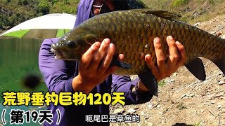 荒野垂钓巨物120天 第19天，鱼情暴躁，钓鱼的时间没有溜鱼时间多