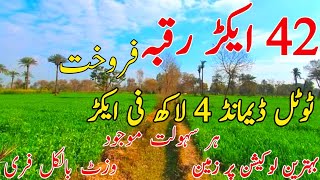 Agritulture Land for sale in Punjab Pakistan || Raqba for sale || Sargodha || zari zameen 512