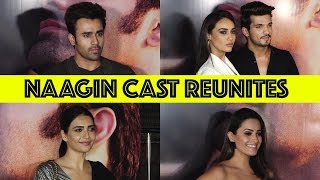 Excited for Naagin 4 and it is in the pipeline: Karishma Tanna
