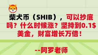 柴犬币（SHIB），可以抄底吗？什么时候涨？坚持到0 1$美金，财富增长万倍！——柴犬币走势，柴犬币最新消息，柴犬币价格，柴犬币官网，柴犬币多少钱，柴犬币前景，柴犬币实时价格，柴犬币值得投资